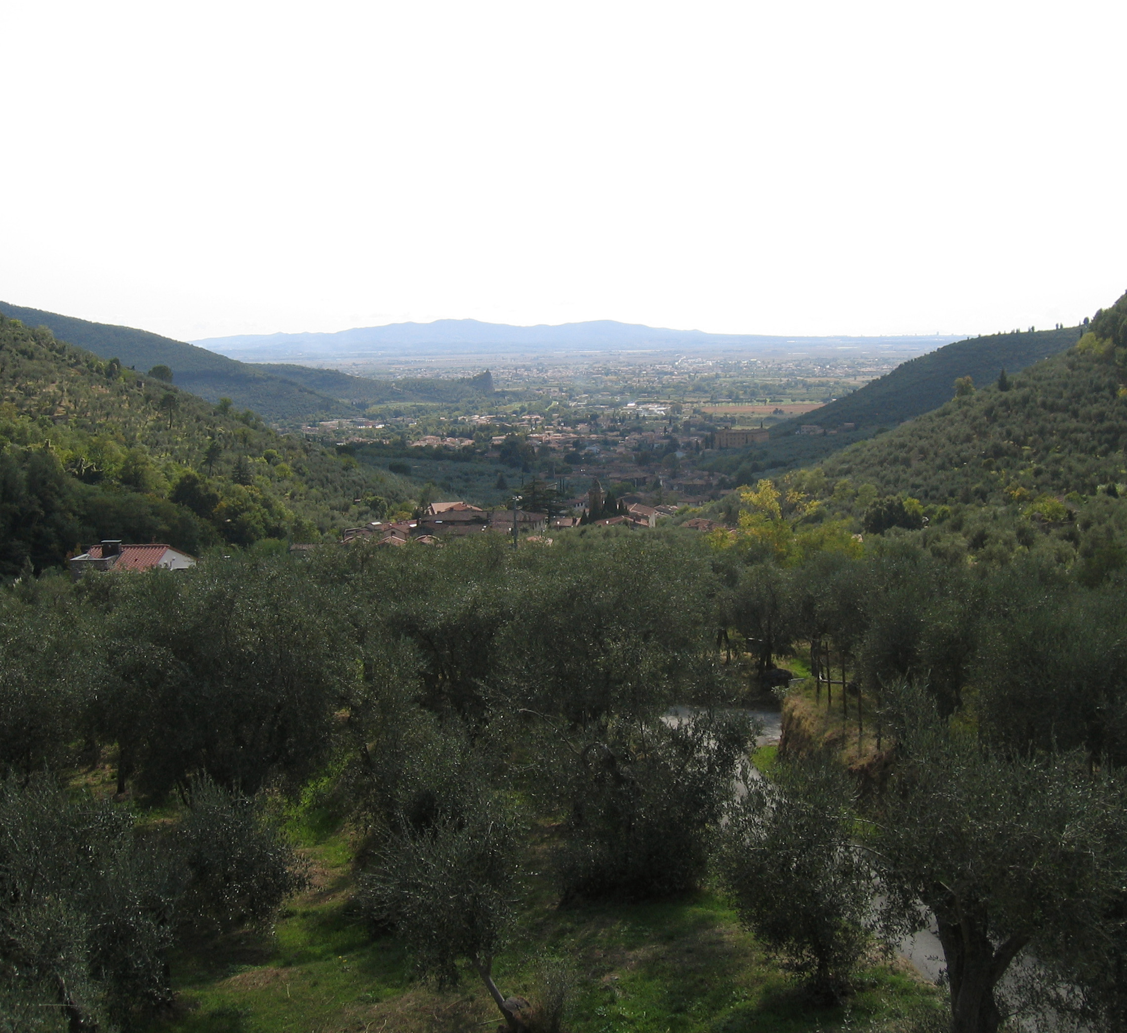 Vista panoramica dall'edificio